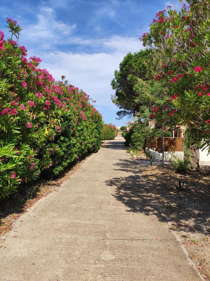 Coquette Villa De Vacances Le Barcarès Exterior foto